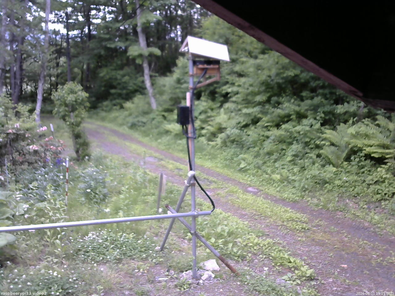 長野県菅平高原 ゆたか山荘 南側 2026/06/11 15:15