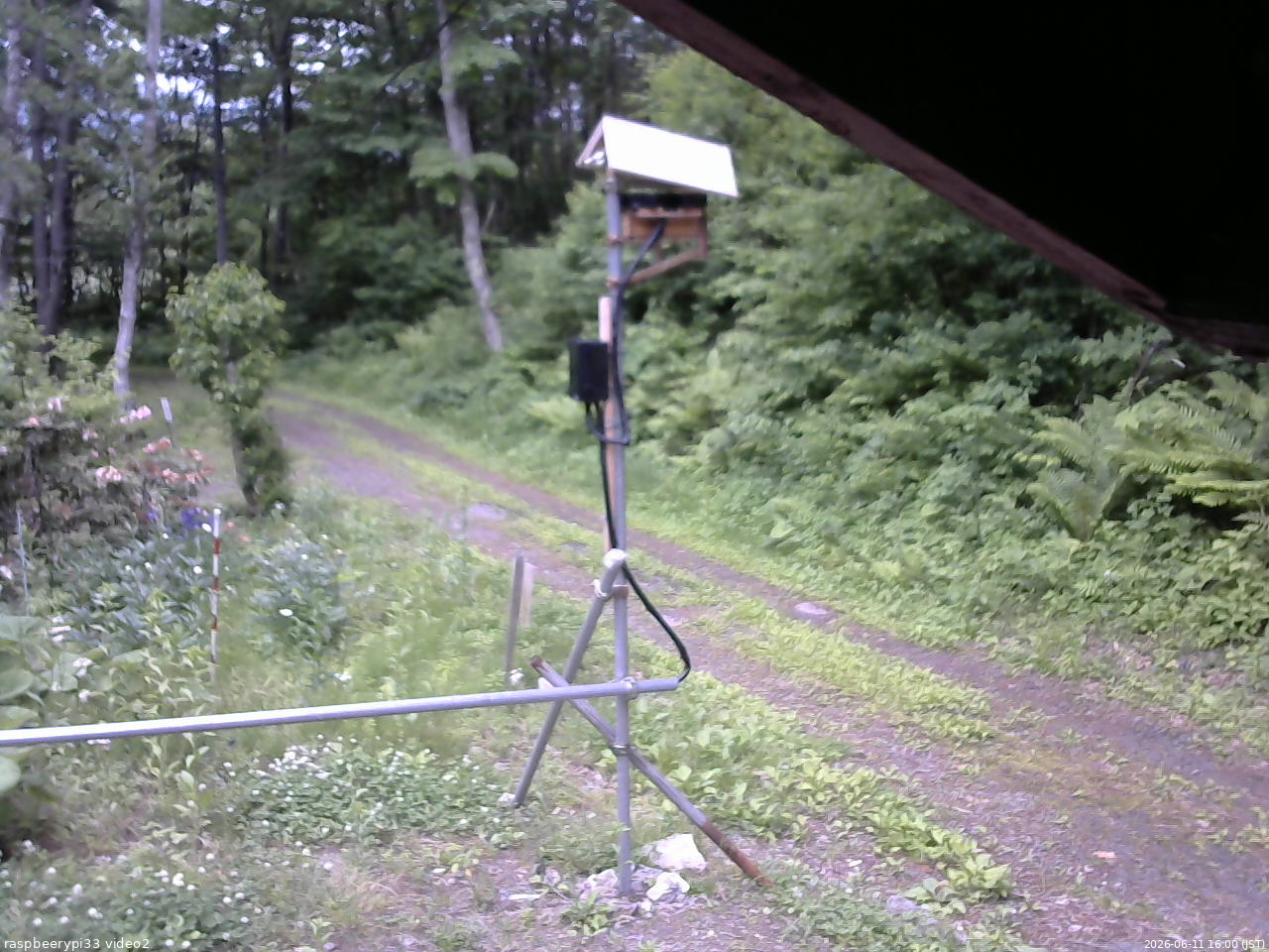 長野県菅平高原 ゆたか山荘 南側 2026/06/11 16:00
