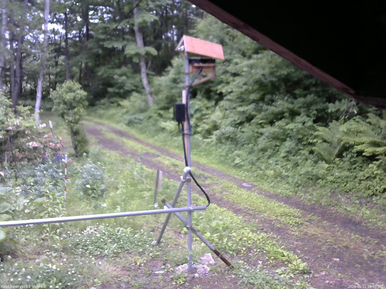 長野県菅平高原 ゆたか山荘 南側 2026/06/11 16:30