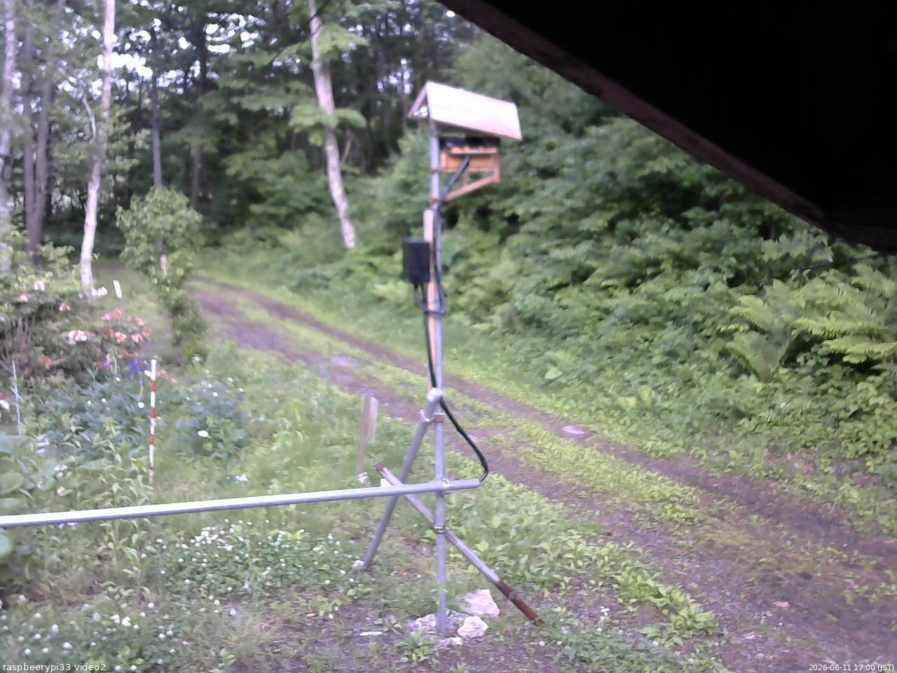 長野県菅平高原 ゆたか山荘 南側 2026/06/11 17:00