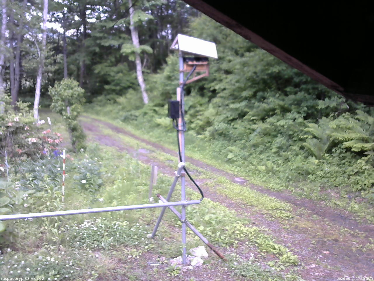 長野県菅平高原 ゆたか山荘 南側 2026/06/11 17:30