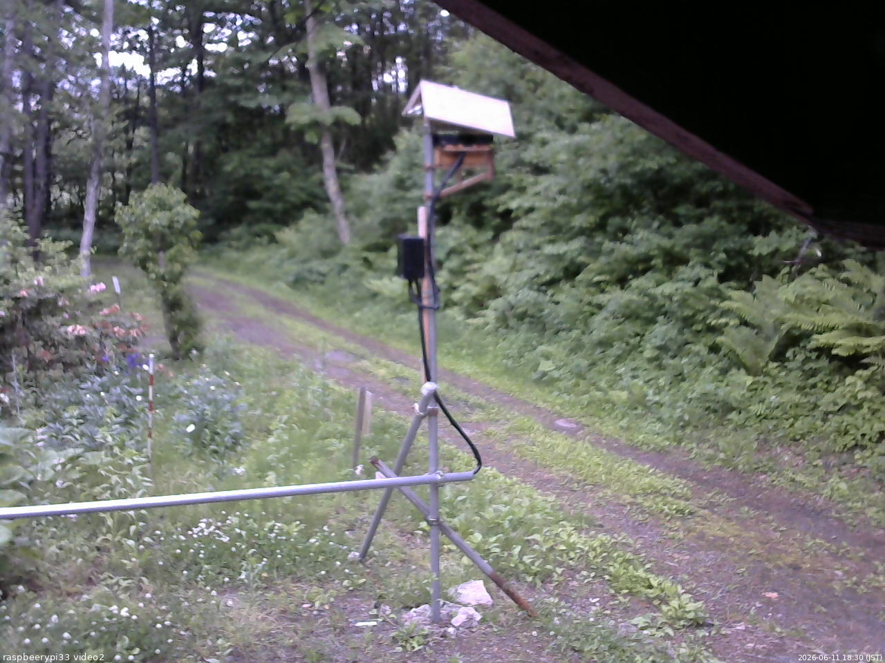 長野県菅平高原 ゆたか山荘 南側 2026/06/11 18:30