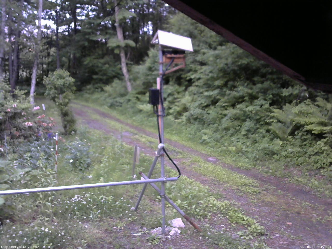 長野県菅平高原 ゆたか山荘 南側 2026/06/11 18:45