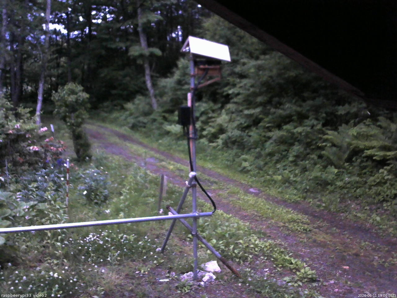 長野県菅平高原 ゆたか山荘 南側 2026/06/11 19:00