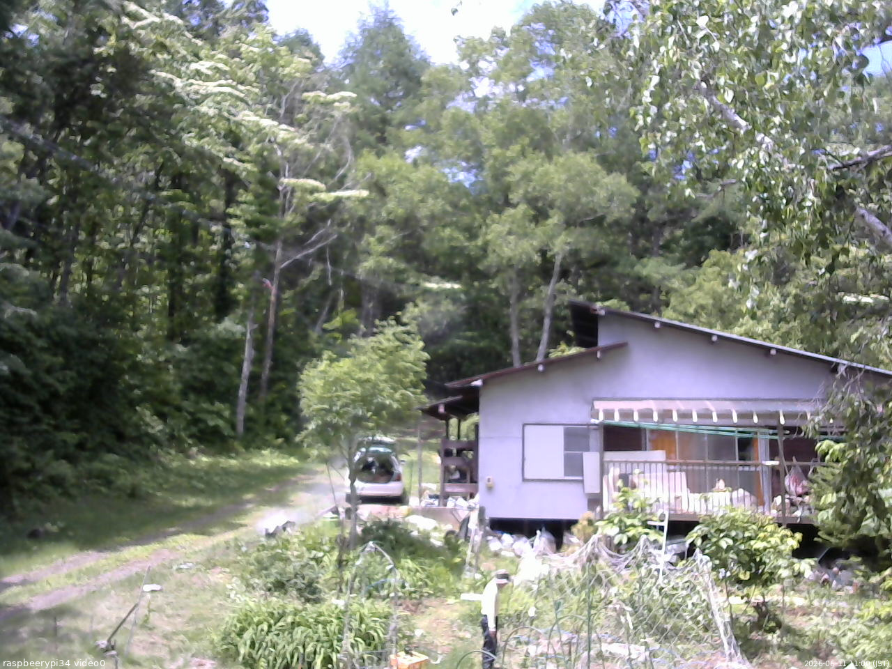 長野県菅平高原 ゆたか山荘 西側(坂上) 2026/06/11 11:00
