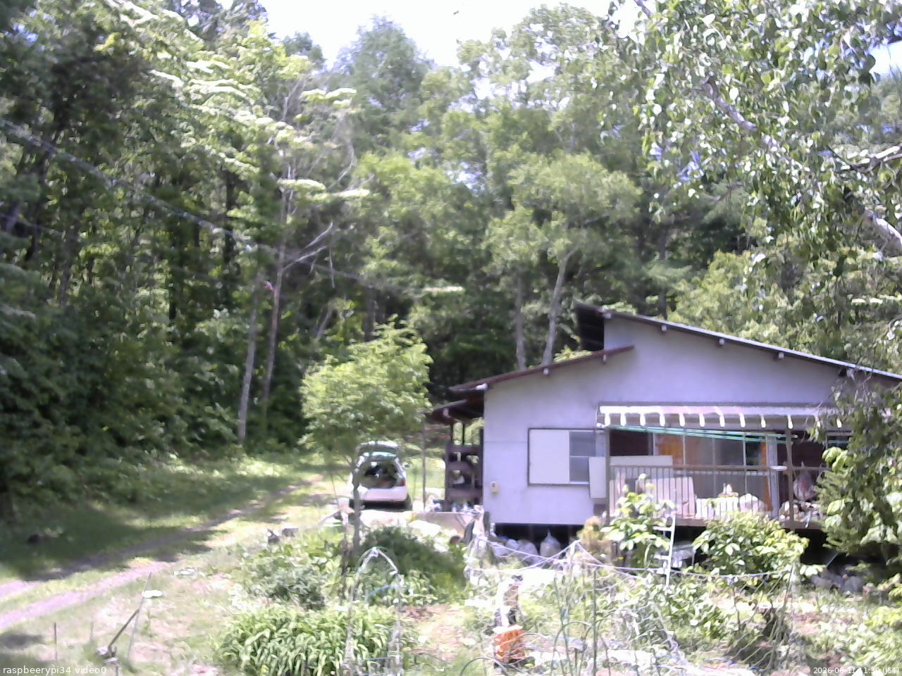 長野県菅平高原 ゆたか山荘 西側(坂上) 2026/06/11 11:30