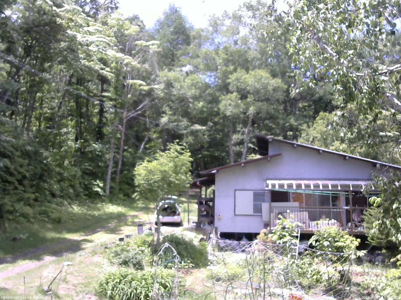 長野県菅平高原 ゆたか山荘 西側(坂上) 2026/06/11 11:45