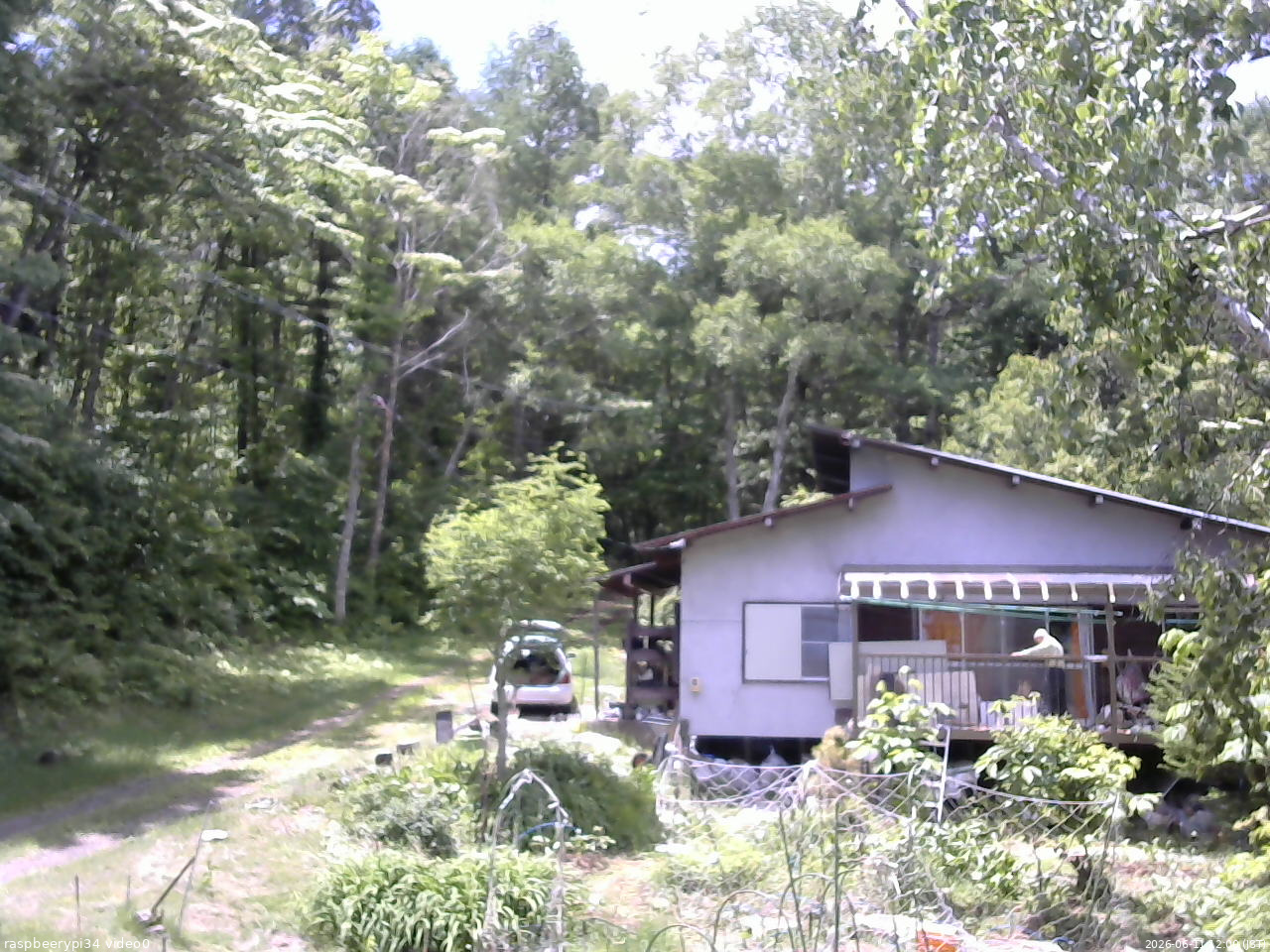 長野県菅平高原 ゆたか山荘 西側(坂上) 2026/06/11 12:00
