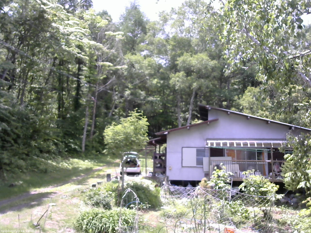 長野県菅平高原 ゆたか山荘 西側(坂上) 2026/06/11 12:15