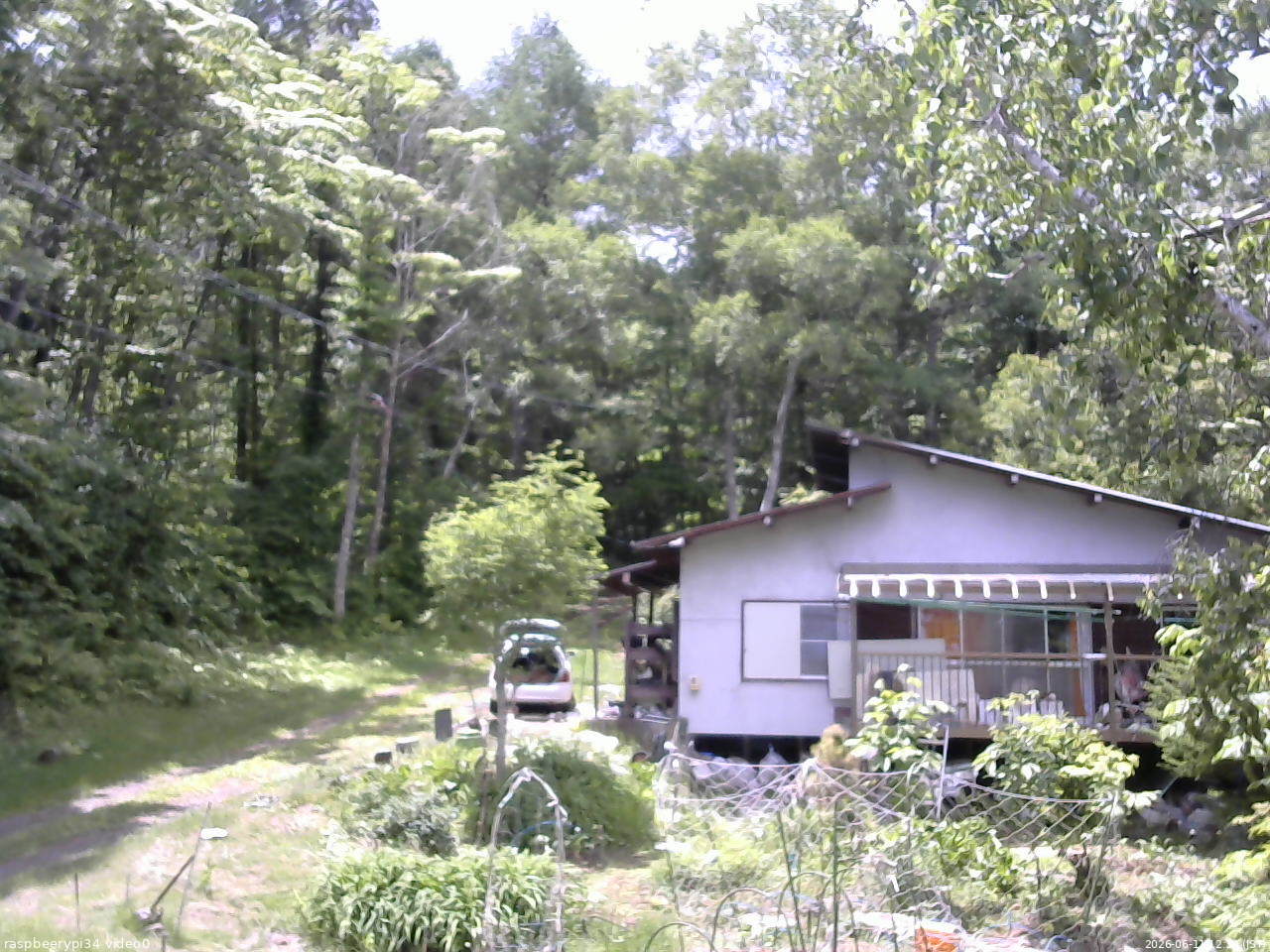 長野県菅平高原 ゆたか山荘 西側(坂上) 2026/06/11 12:30