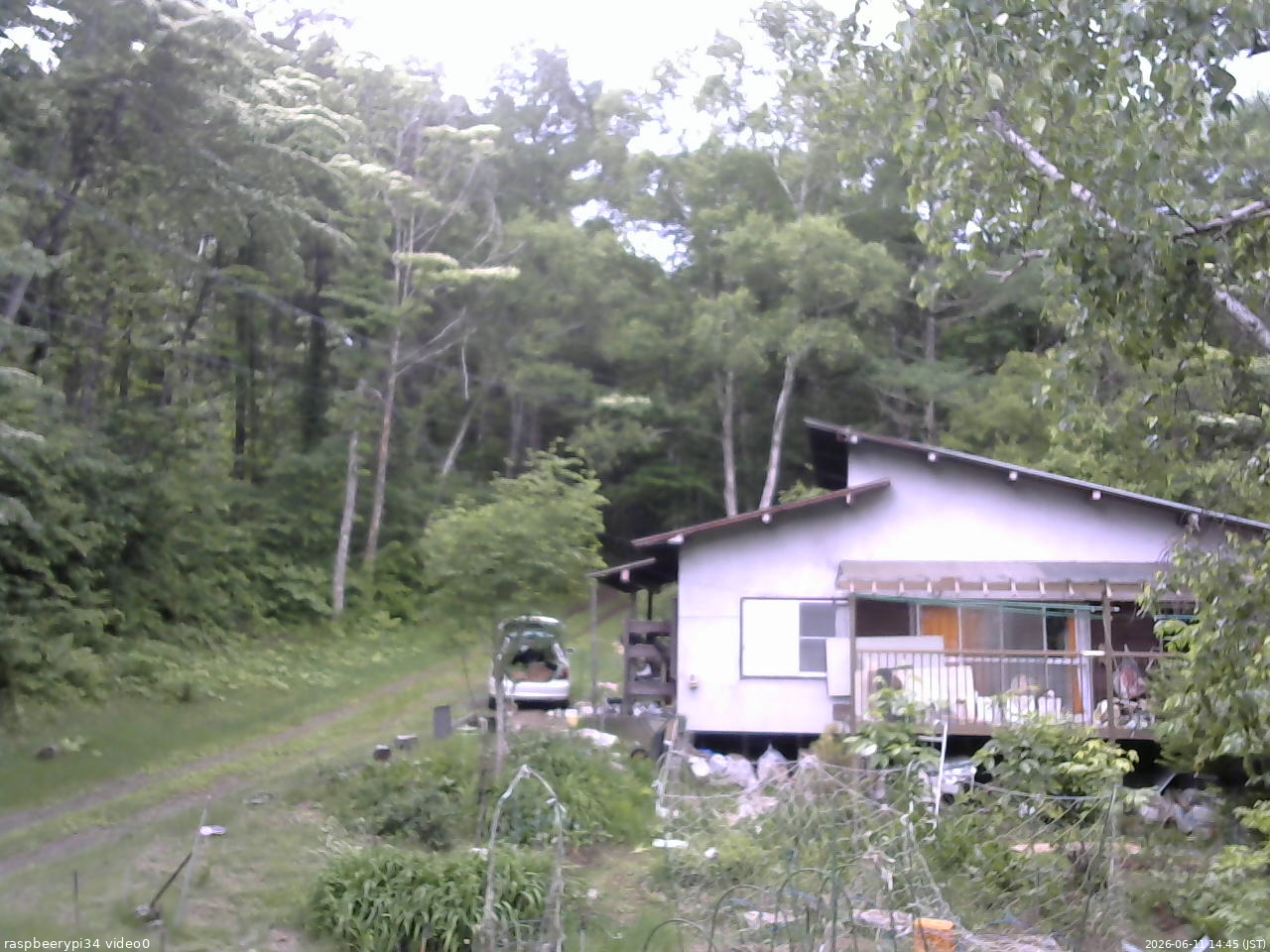 長野県菅平高原 ゆたか山荘 西側(坂上) 2026/06/11 14:45