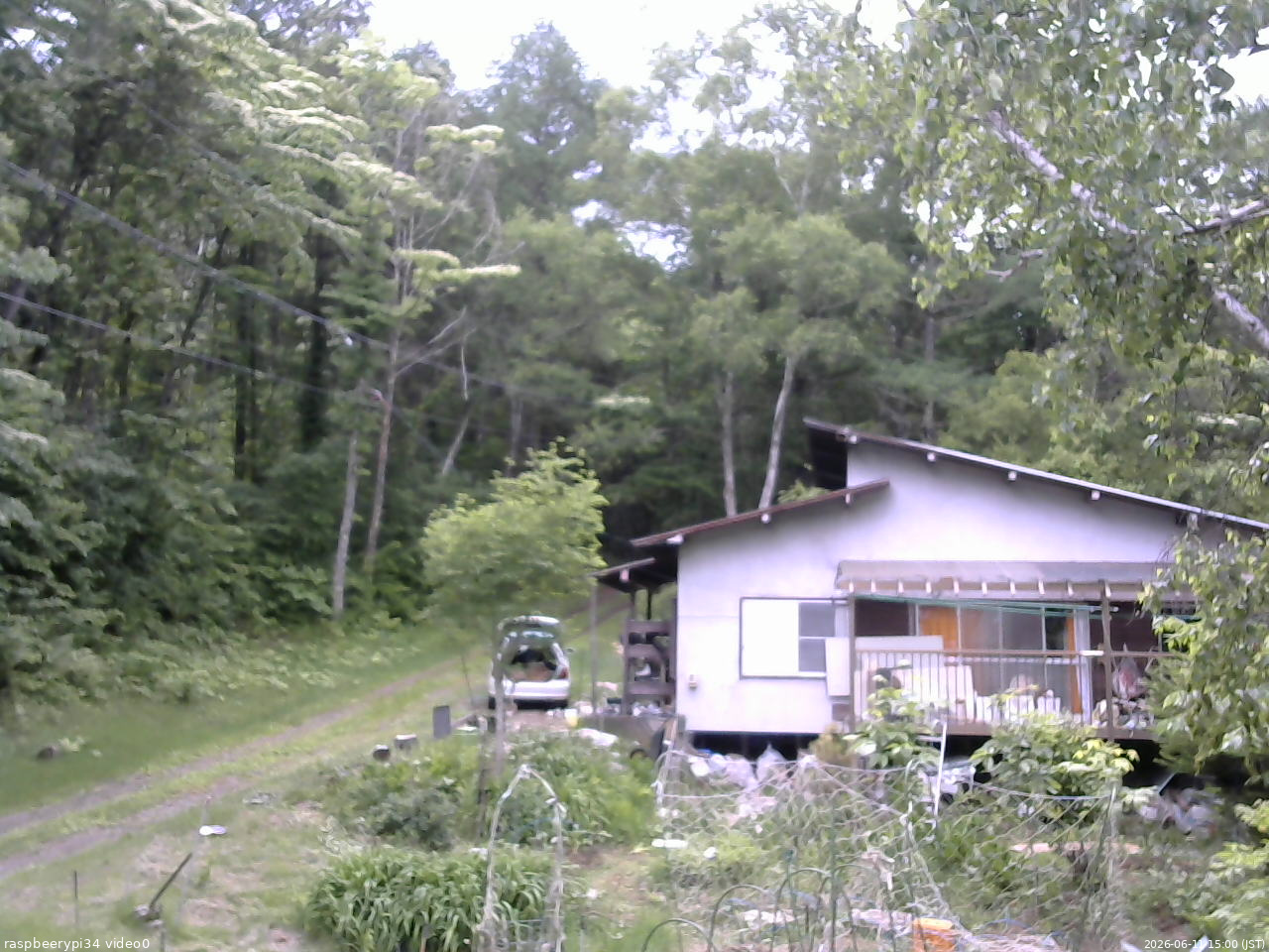 長野県菅平高原 ゆたか山荘 西側(坂上) 2026/06/11 15:00