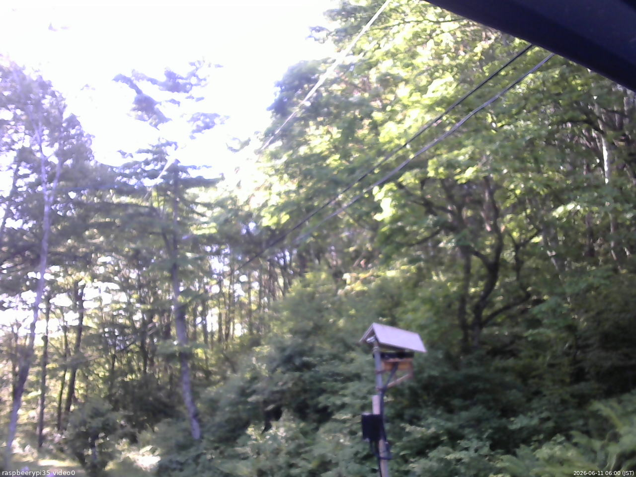 長野県菅平高原 ゆたか山荘 温度計 2026/06/11 06:00
