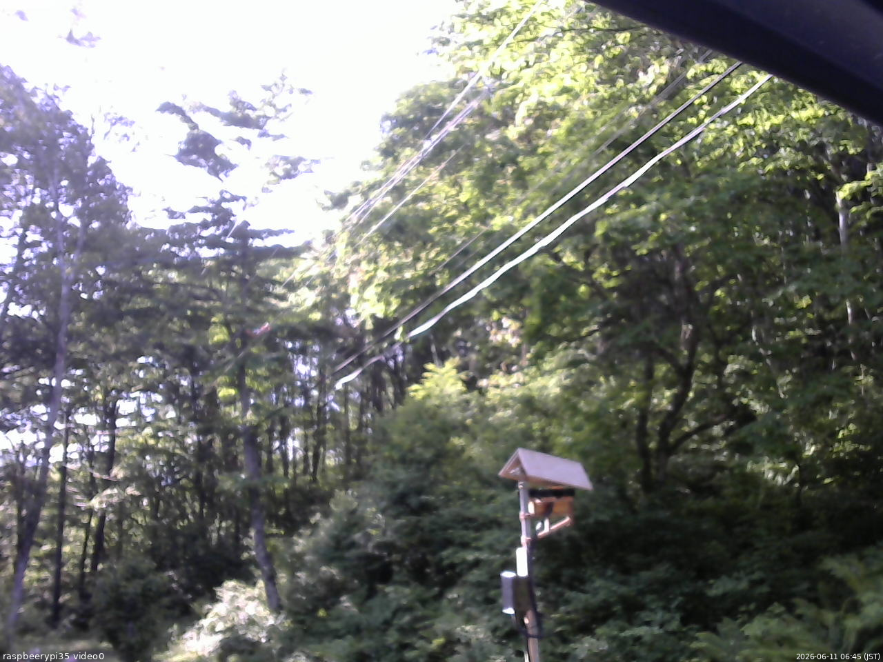 長野県菅平高原 ゆたか山荘 温度計 2026/06/11 06:45