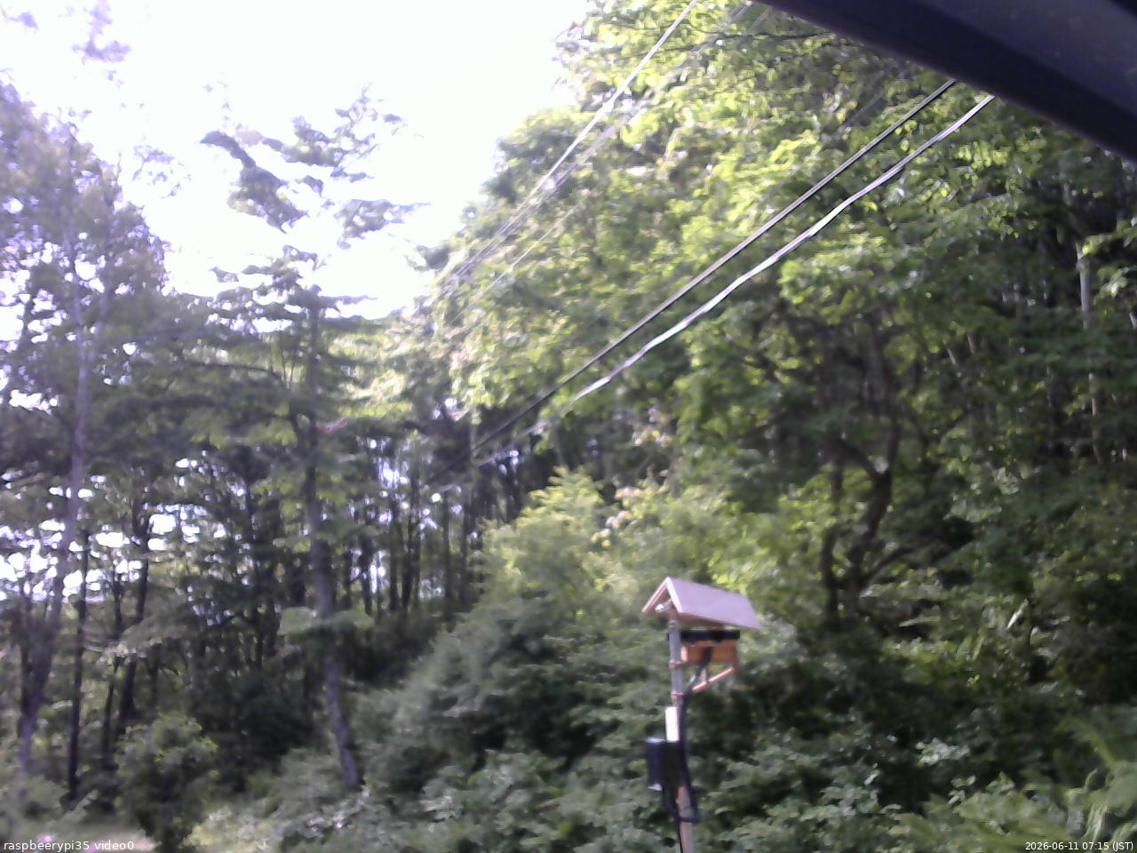 長野県菅平高原 ゆたか山荘 温度計 2026/06/11 07:15