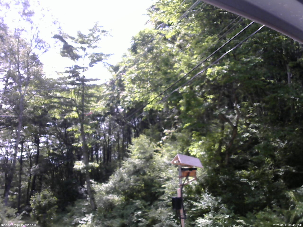 長野県菅平高原 ゆたか山荘 温度計 2026/06/11 08:45