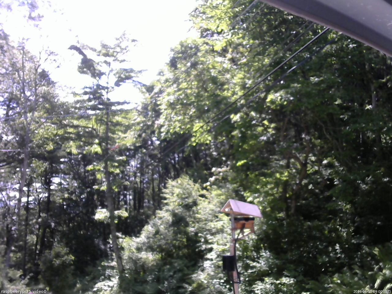 長野県菅平高原 ゆたか山荘 温度計 2026/06/11 09:00