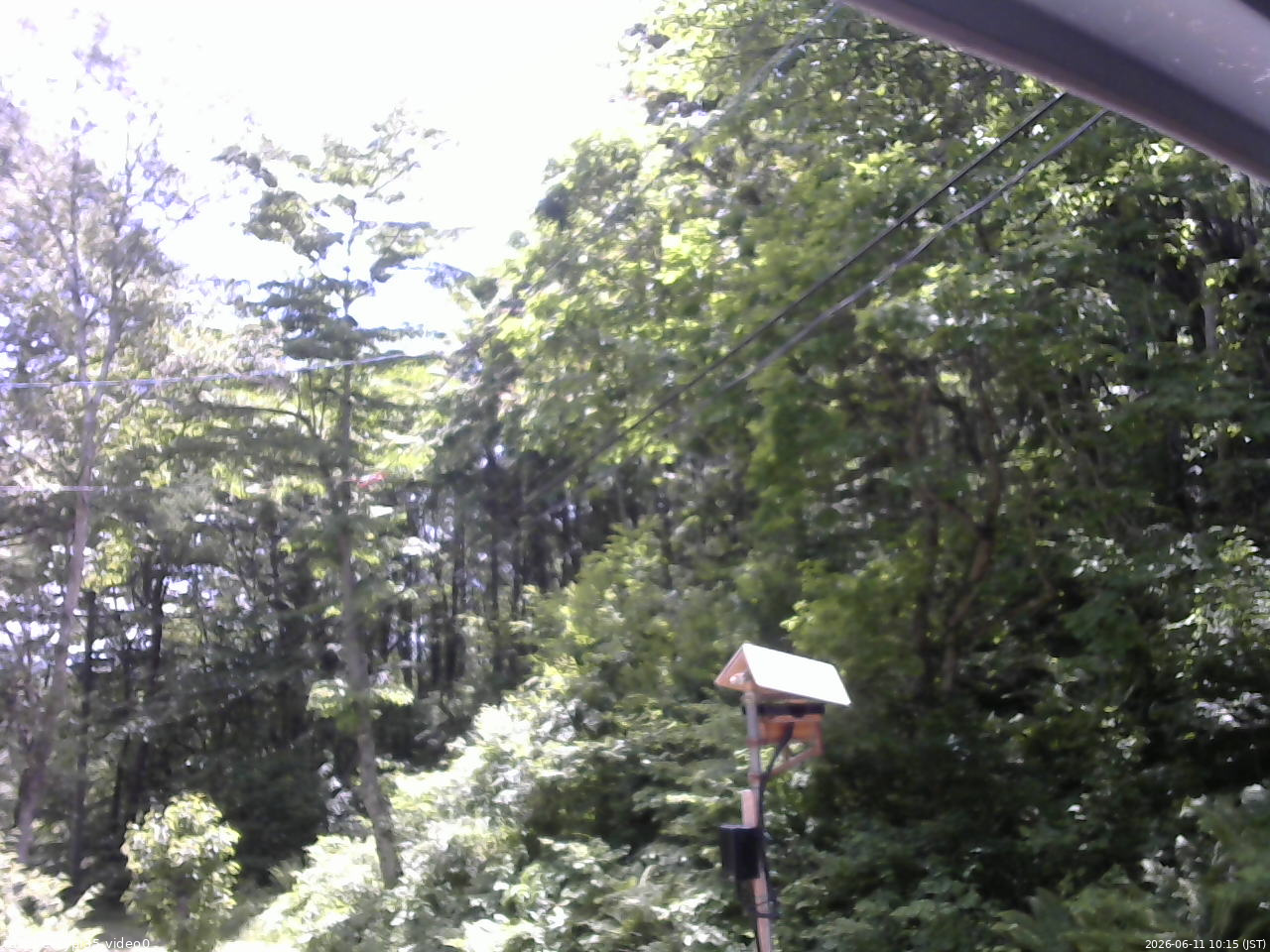 長野県菅平高原 ゆたか山荘 温度計 2026/06/11 10:15