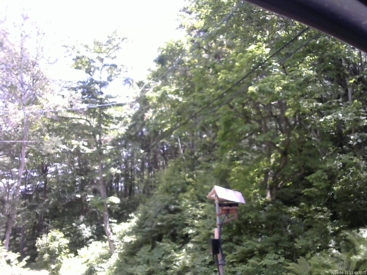 長野県菅平高原 ゆたか山荘 温度計 2026/06/11 11:45