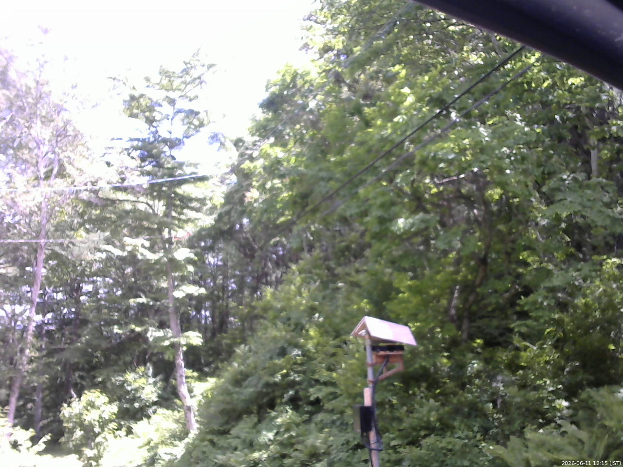 長野県菅平高原 ゆたか山荘 温度計 2026/06/11 12:15