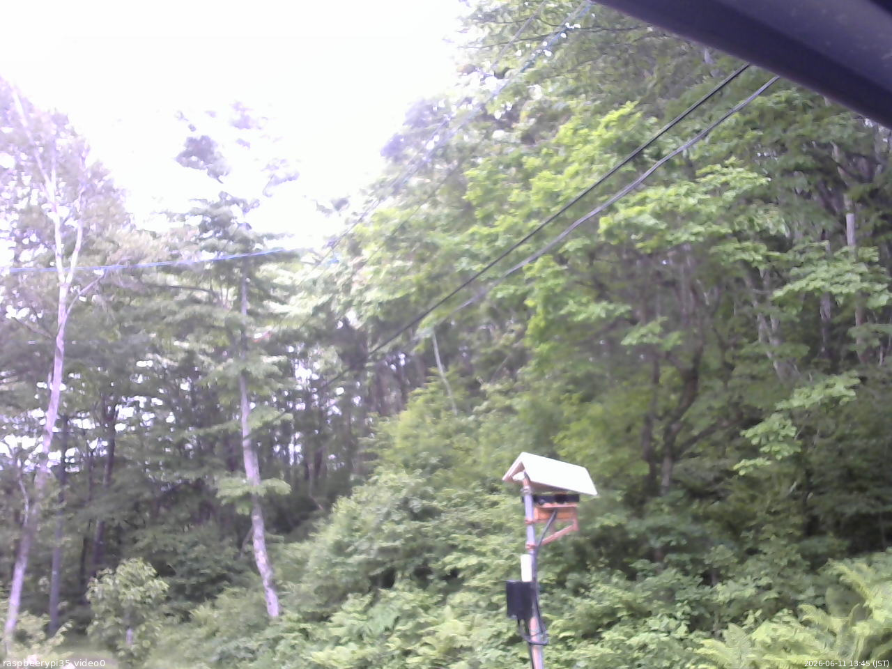 長野県菅平高原 ゆたか山荘 温度計 2026/06/11 13:45