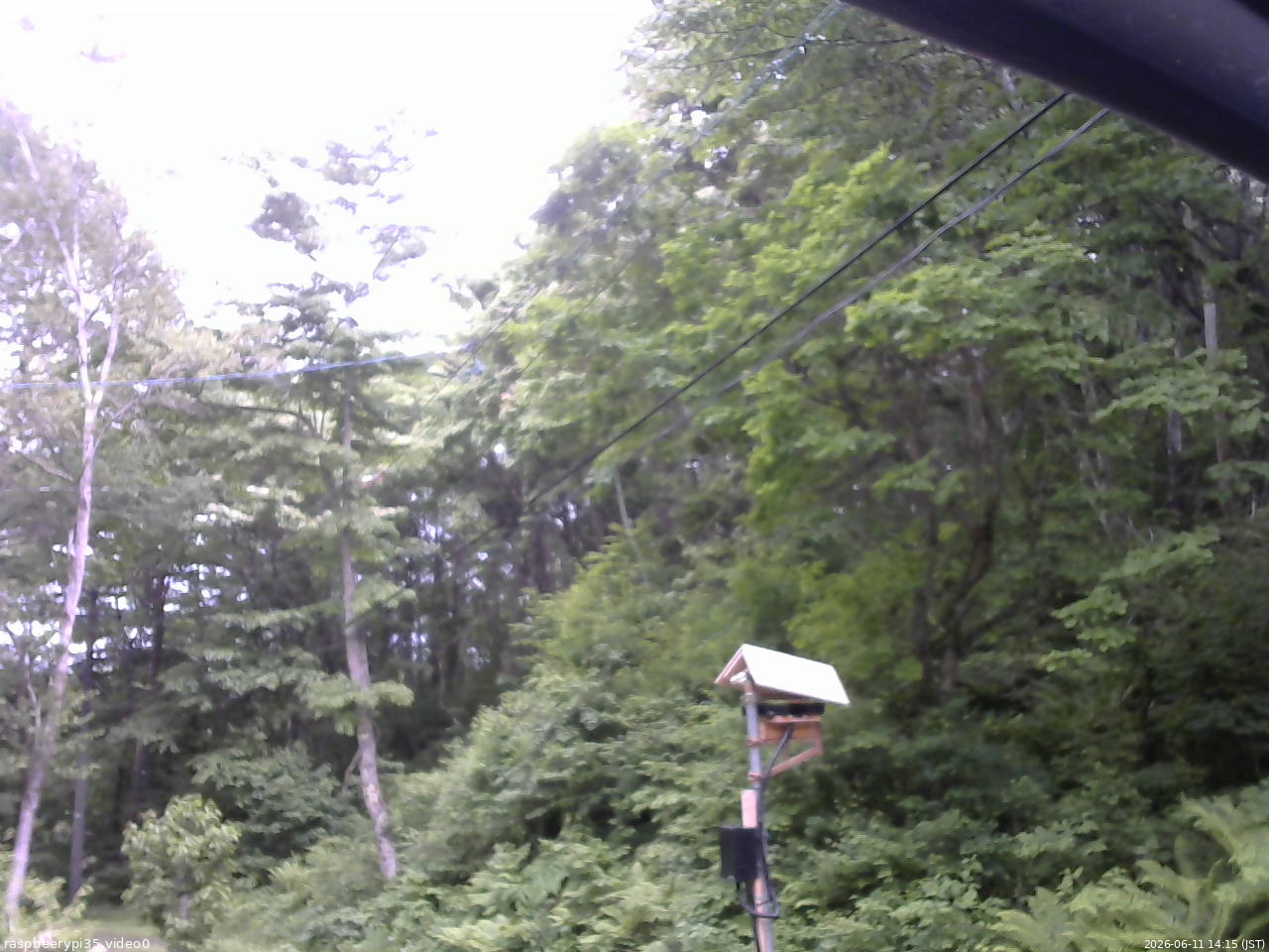 長野県菅平高原 ゆたか山荘 温度計 2026/06/11 14:15