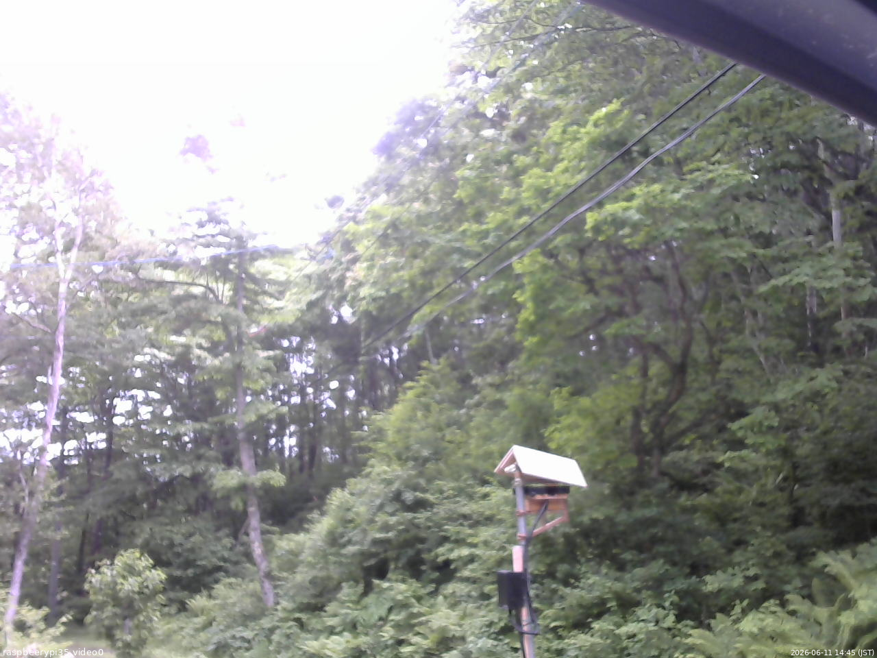 長野県菅平高原 ゆたか山荘 温度計 2026/06/11 14:45