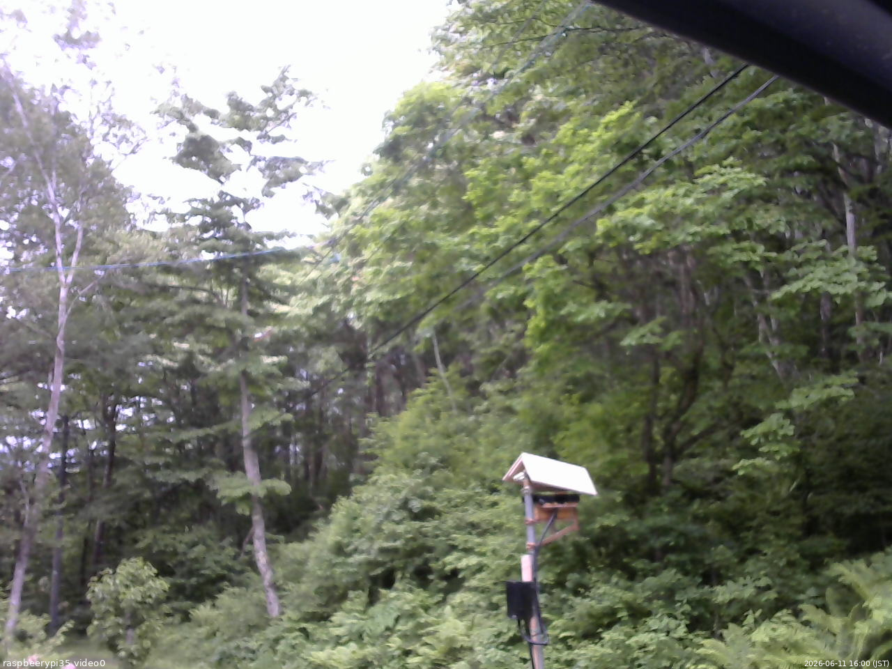長野県菅平高原 ゆたか山荘 温度計 2026/06/11 16:00