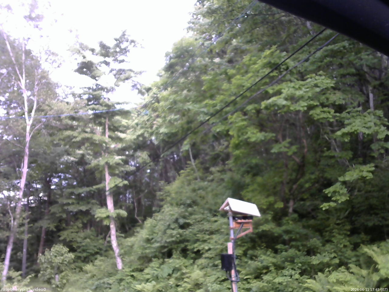 長野県菅平高原 ゆたか山荘 温度計 2026/06/11 17:45