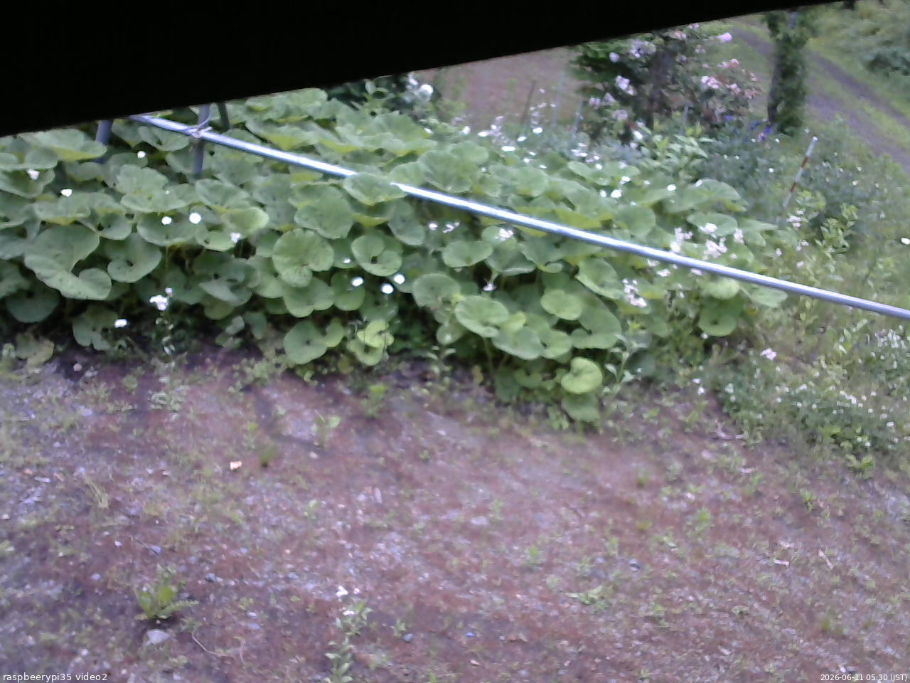 長野県菅平高原 ゆたか山荘 駐車場 2026/06/11 05:30