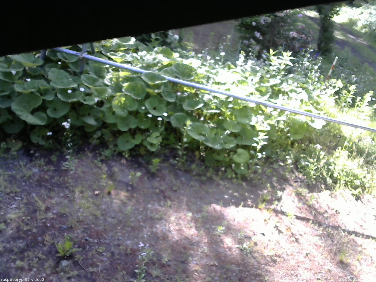 長野県菅平高原 ゆたか山荘 駐車場 2026/06/11 07:00