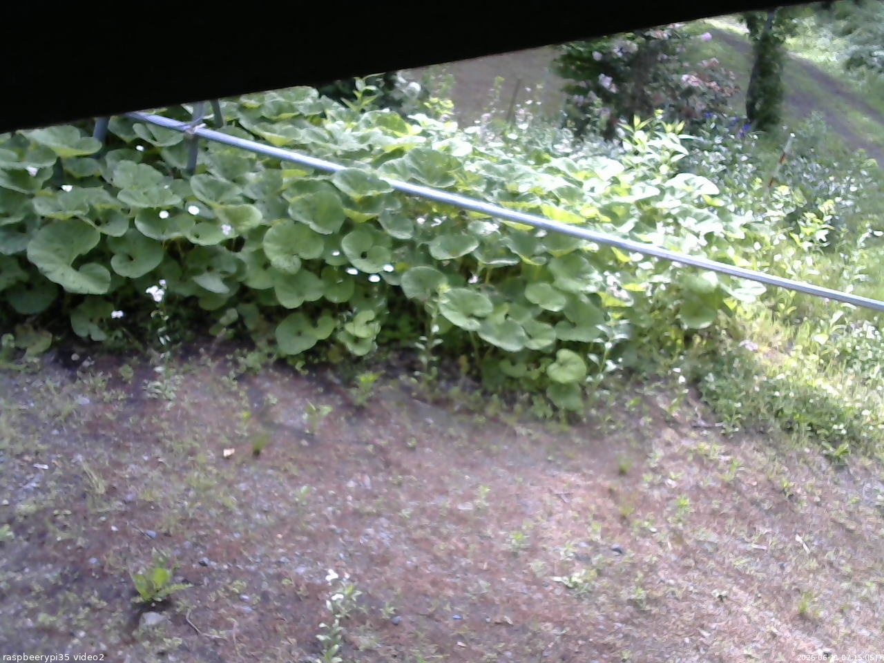 長野県菅平高原 ゆたか山荘 駐車場 2026/06/11 07:15