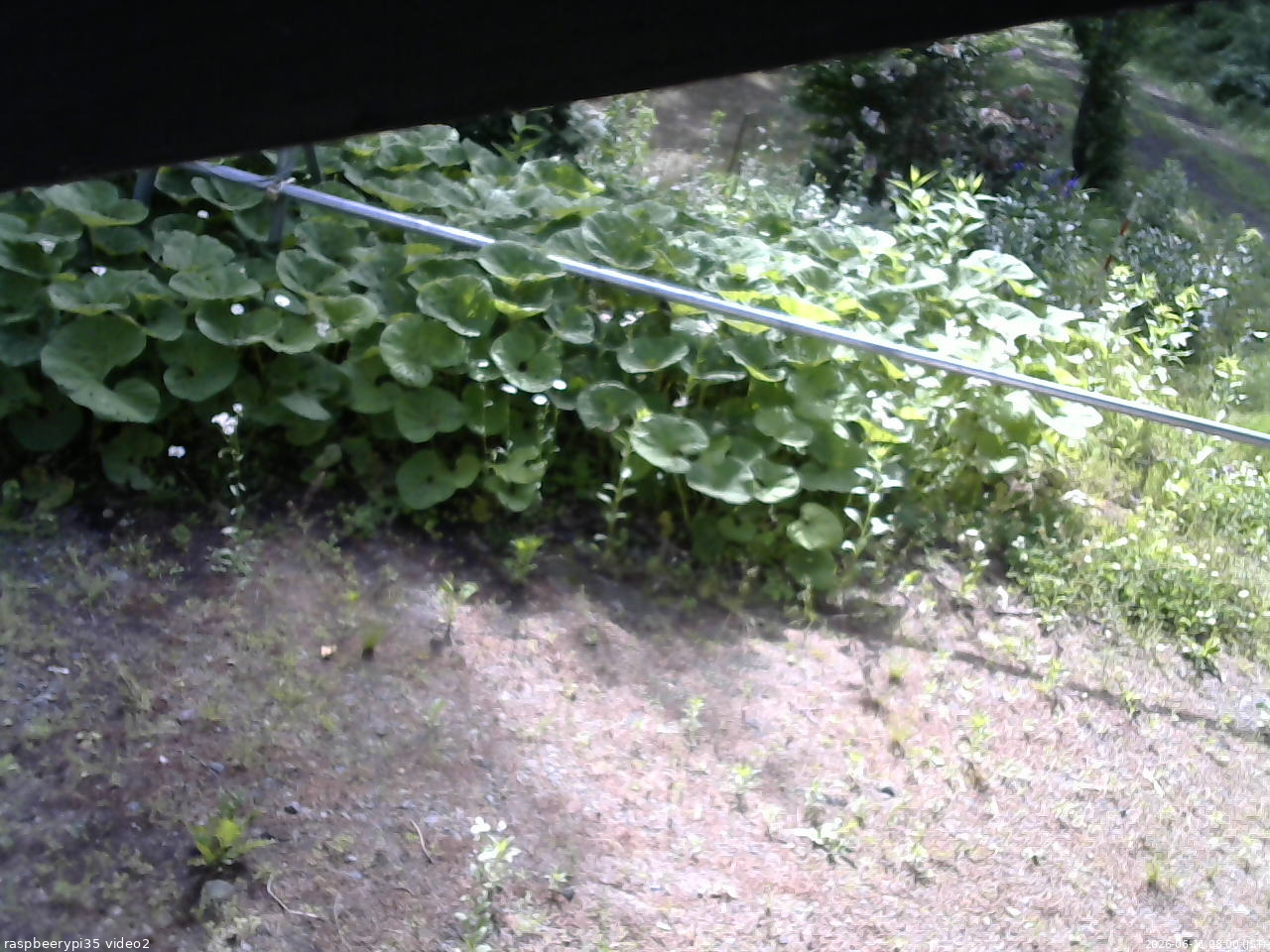 長野県菅平高原 ゆたか山荘 駐車場 2026/06/11 08:00