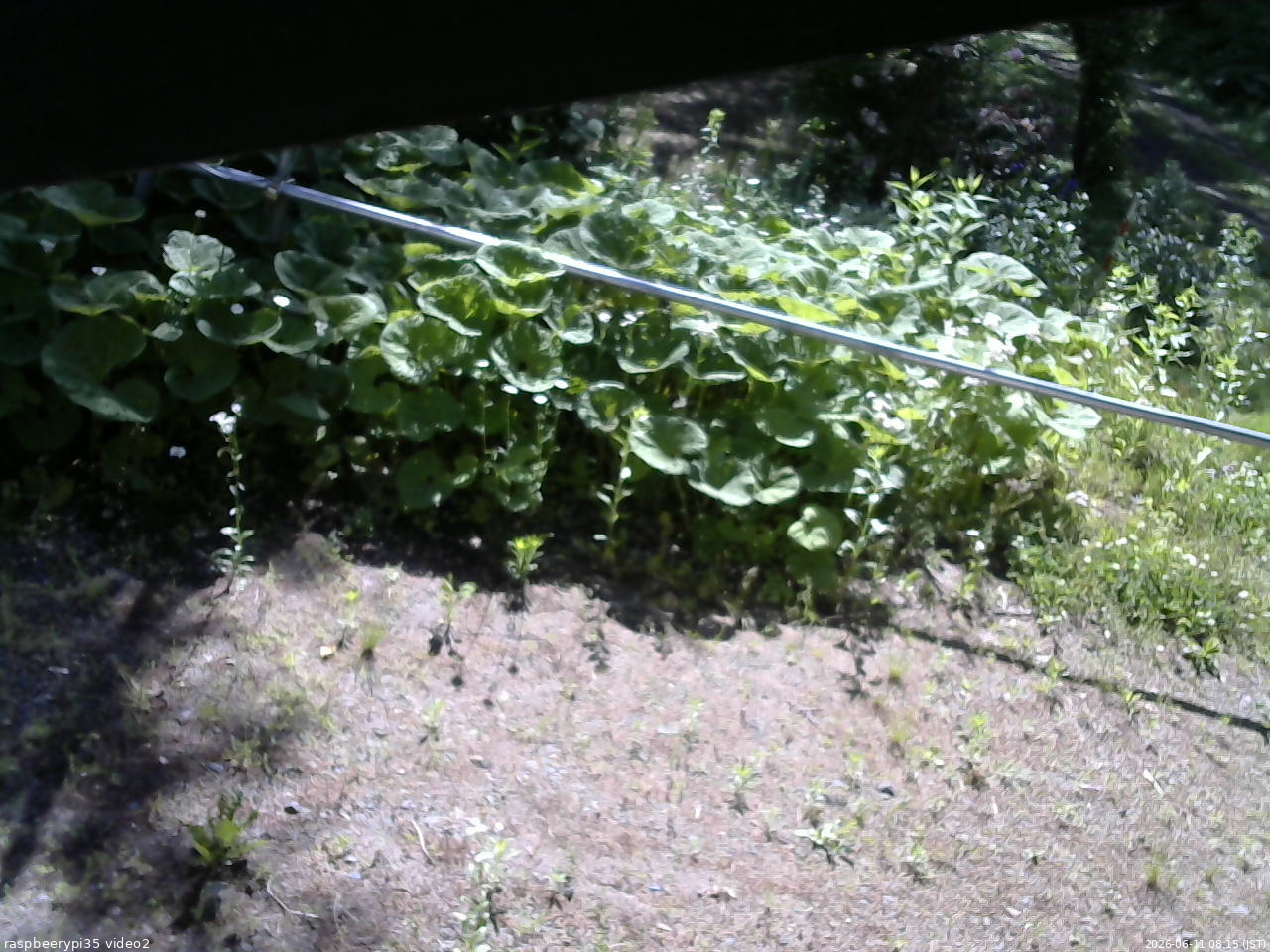 長野県菅平高原 ゆたか山荘 駐車場 2026/06/11 08:15