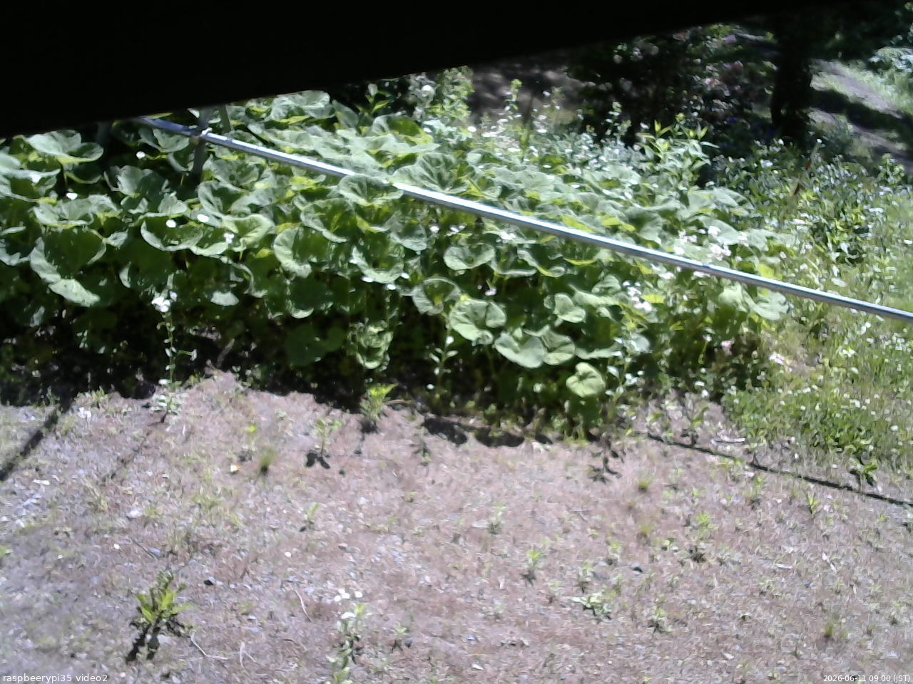 長野県菅平高原 ゆたか山荘 駐車場 2026/06/11 09:00