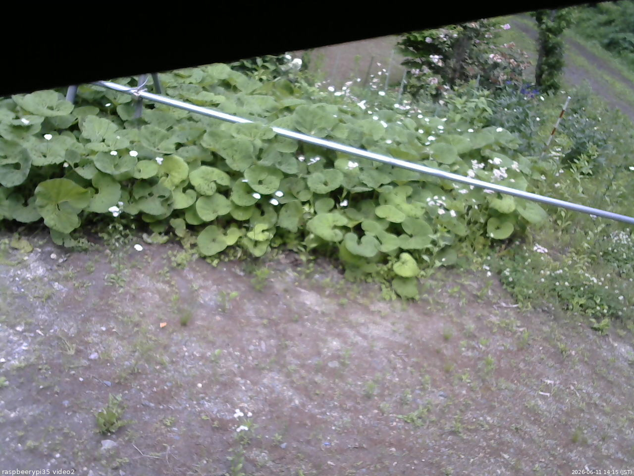長野県菅平高原 ゆたか山荘 駐車場 2026/06/11 14:15