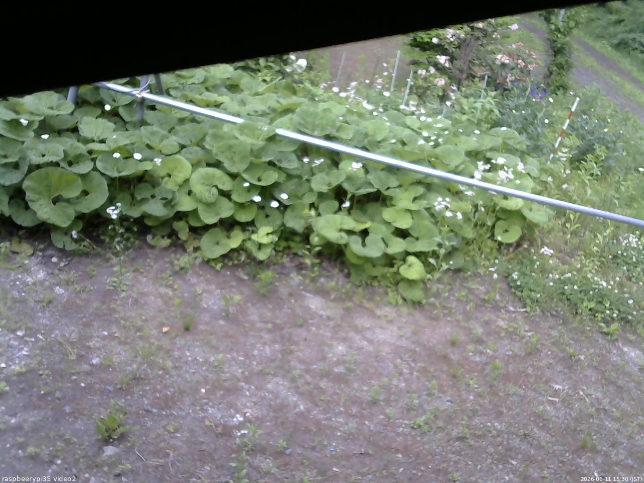 長野県菅平高原 ゆたか山荘 駐車場 2026/06/11 15:30