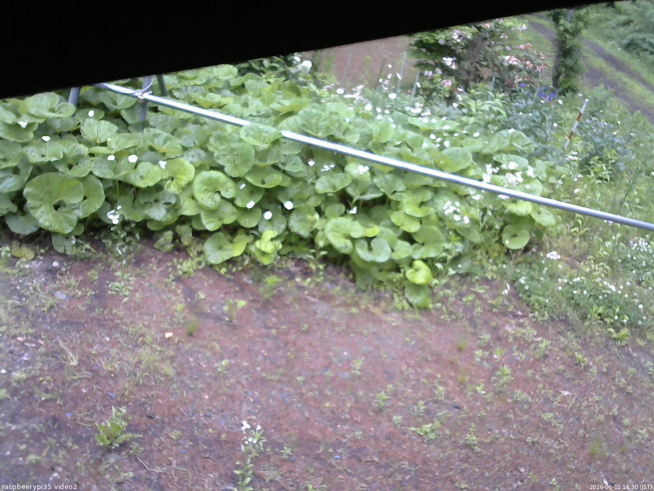 長野県菅平高原 ゆたか山荘 駐車場 2026/06/11 16:30