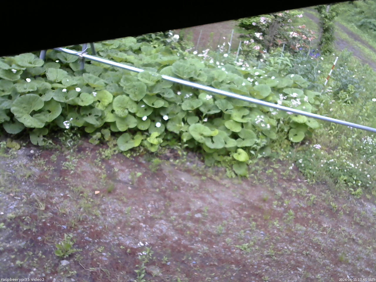 長野県菅平高原 ゆたか山荘 駐車場 2026/06/11 17:45