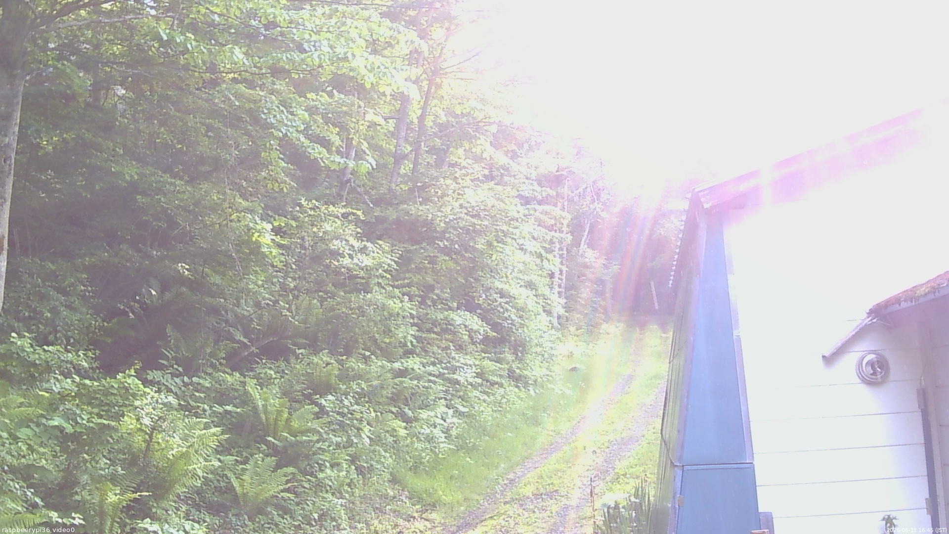 長野県菅平高原 ゆたか山荘 ゆたか山荘 2026/06/11 16:45