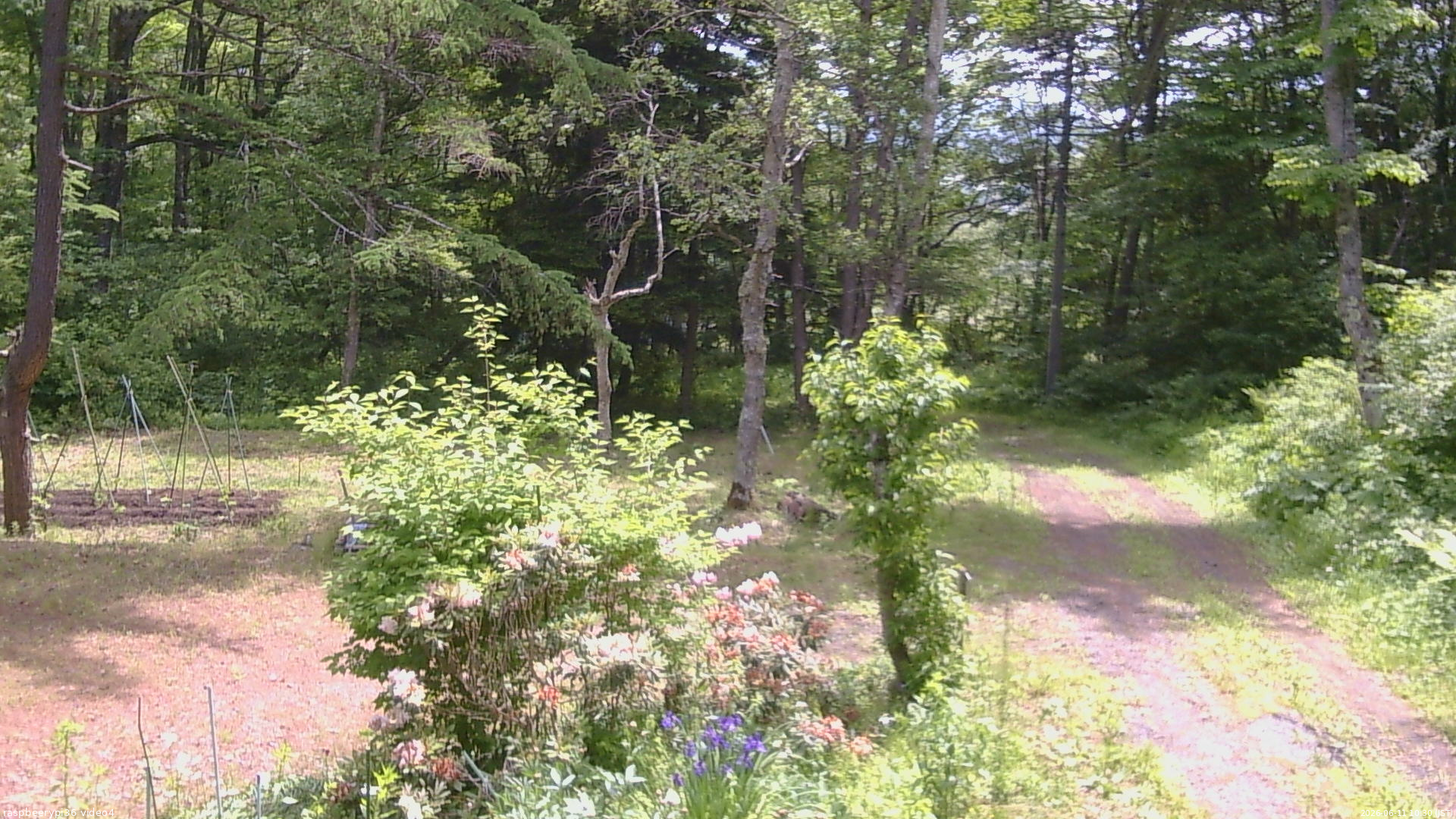 長野県菅平高原 ゆたか山荘 坂上 2026/06/11 10:30