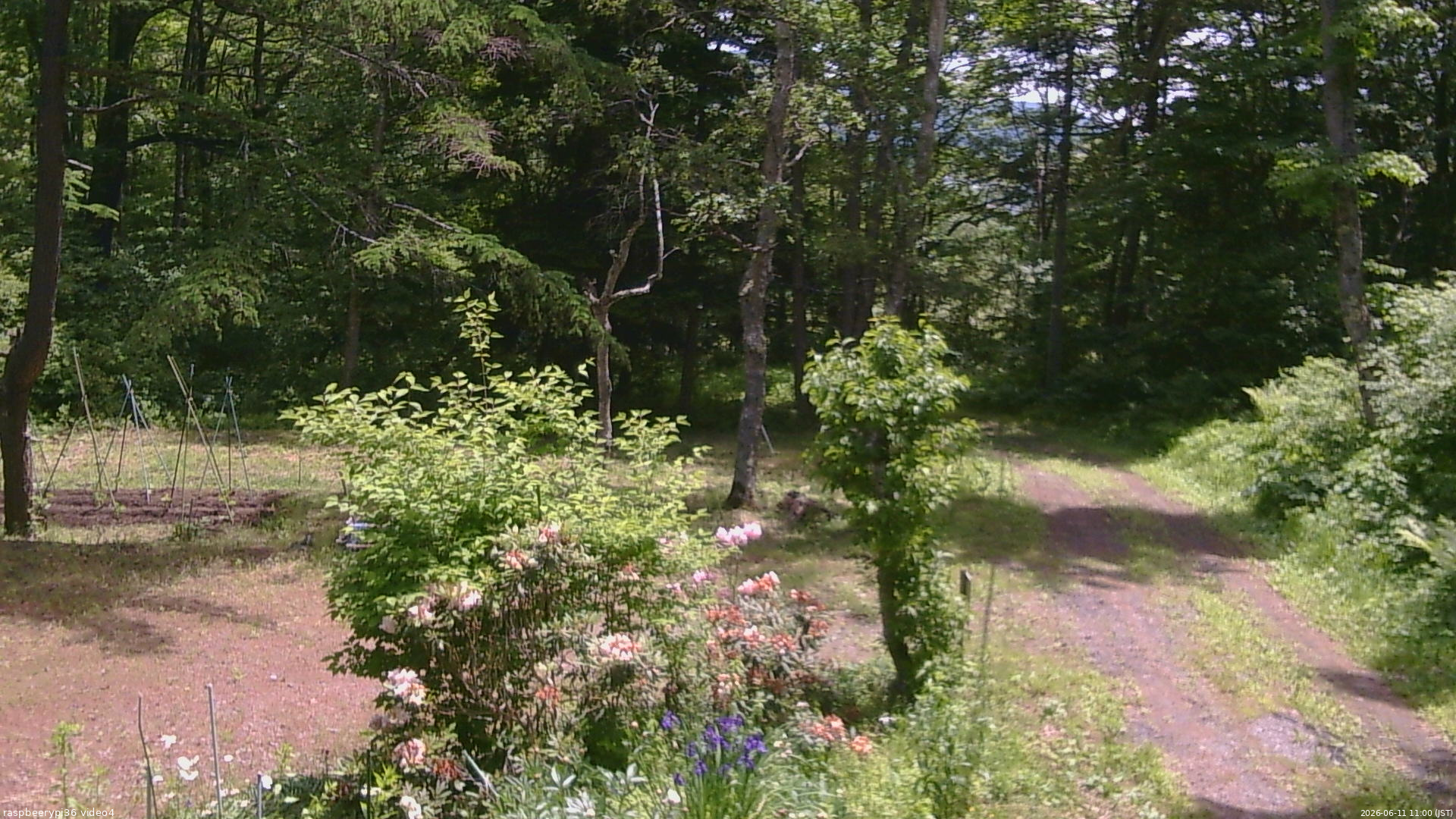 長野県菅平高原 ゆたか山荘 坂上 2026/06/11 11:00