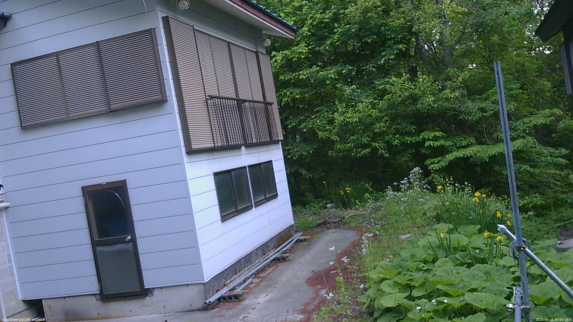 長野県菅平高原 ゆたか山荘 坂下 2026/06/11 05:00