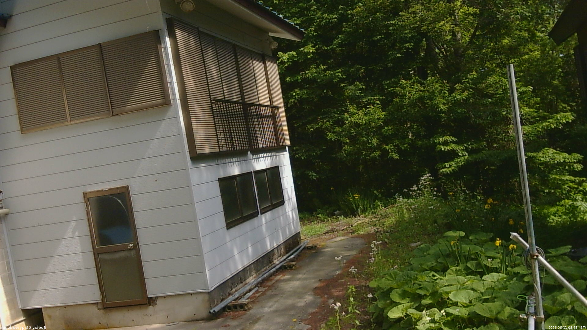 長野県菅平高原 ゆたか山荘 坂下 2026/06/11 08:45