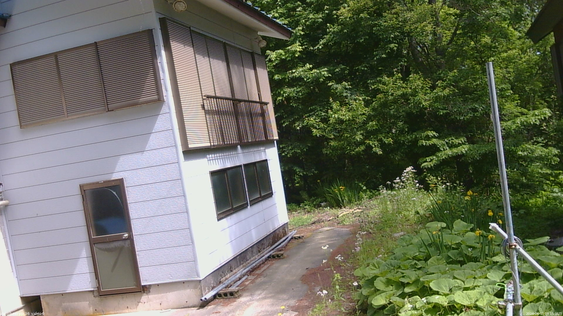 長野県菅平高原 ゆたか山荘 坂下 2026/06/11 09:15