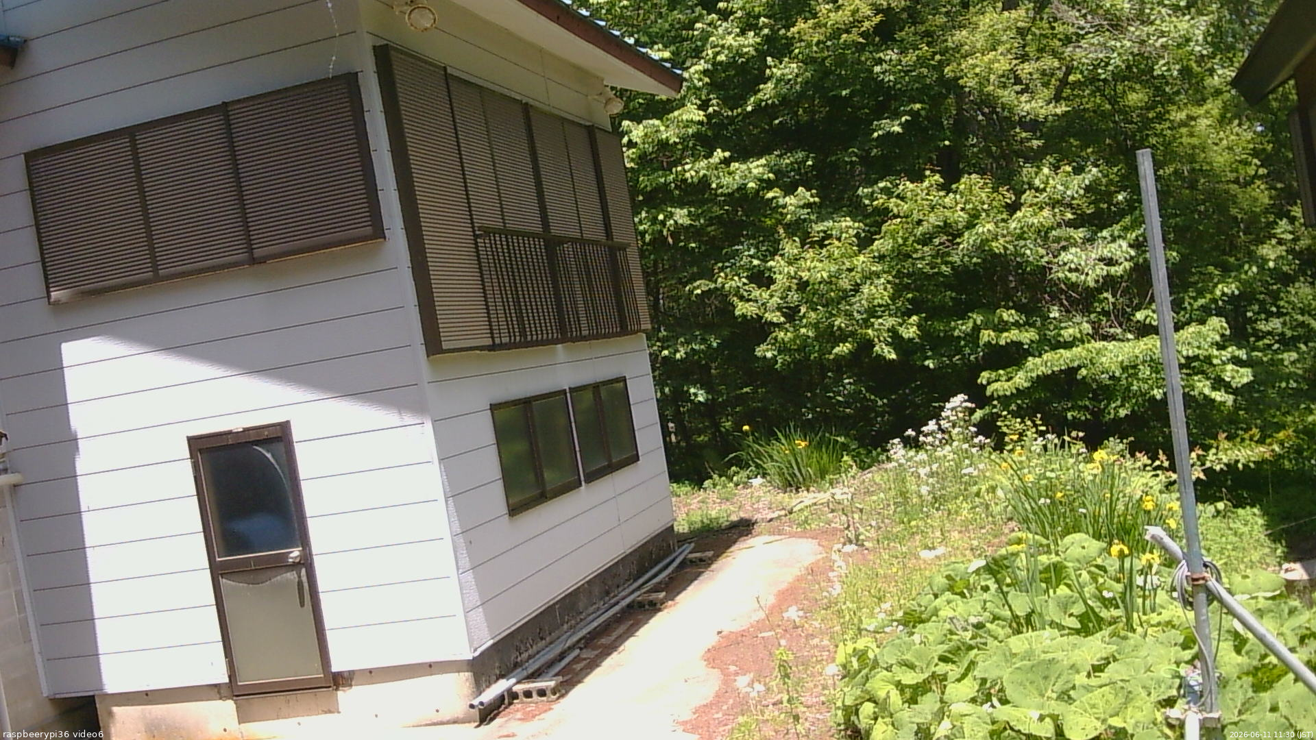 長野県菅平高原 ゆたか山荘 坂下 2026/06/11 11:30