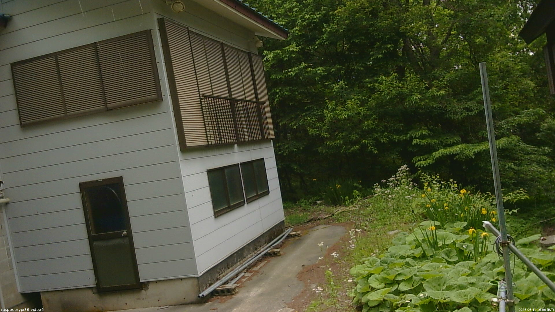 長野県菅平高原 ゆたか山荘 坂下 2026/06/11 16:00