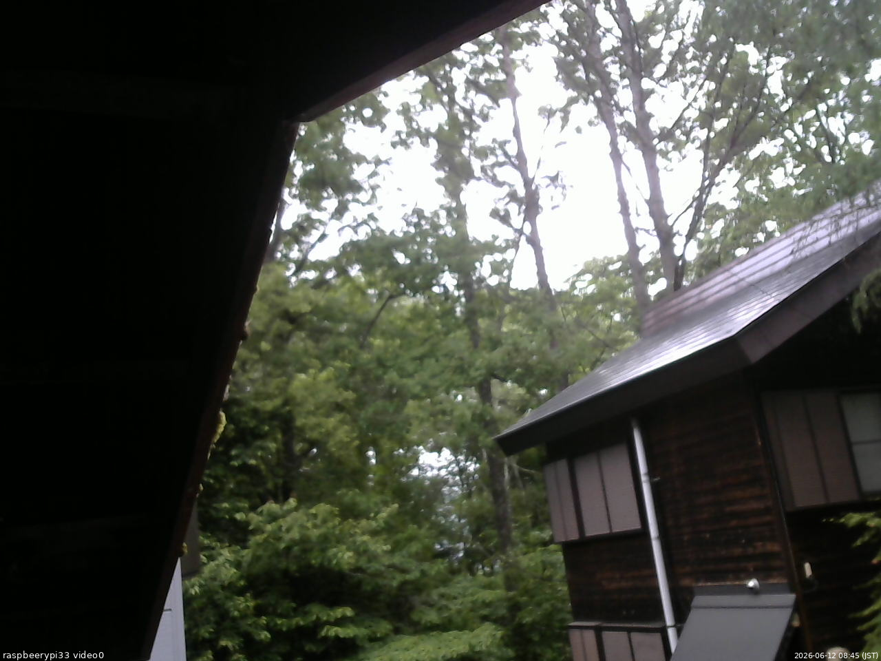 長野県菅平高原 ゆたか山荘 北側 2026/06/12 08:45