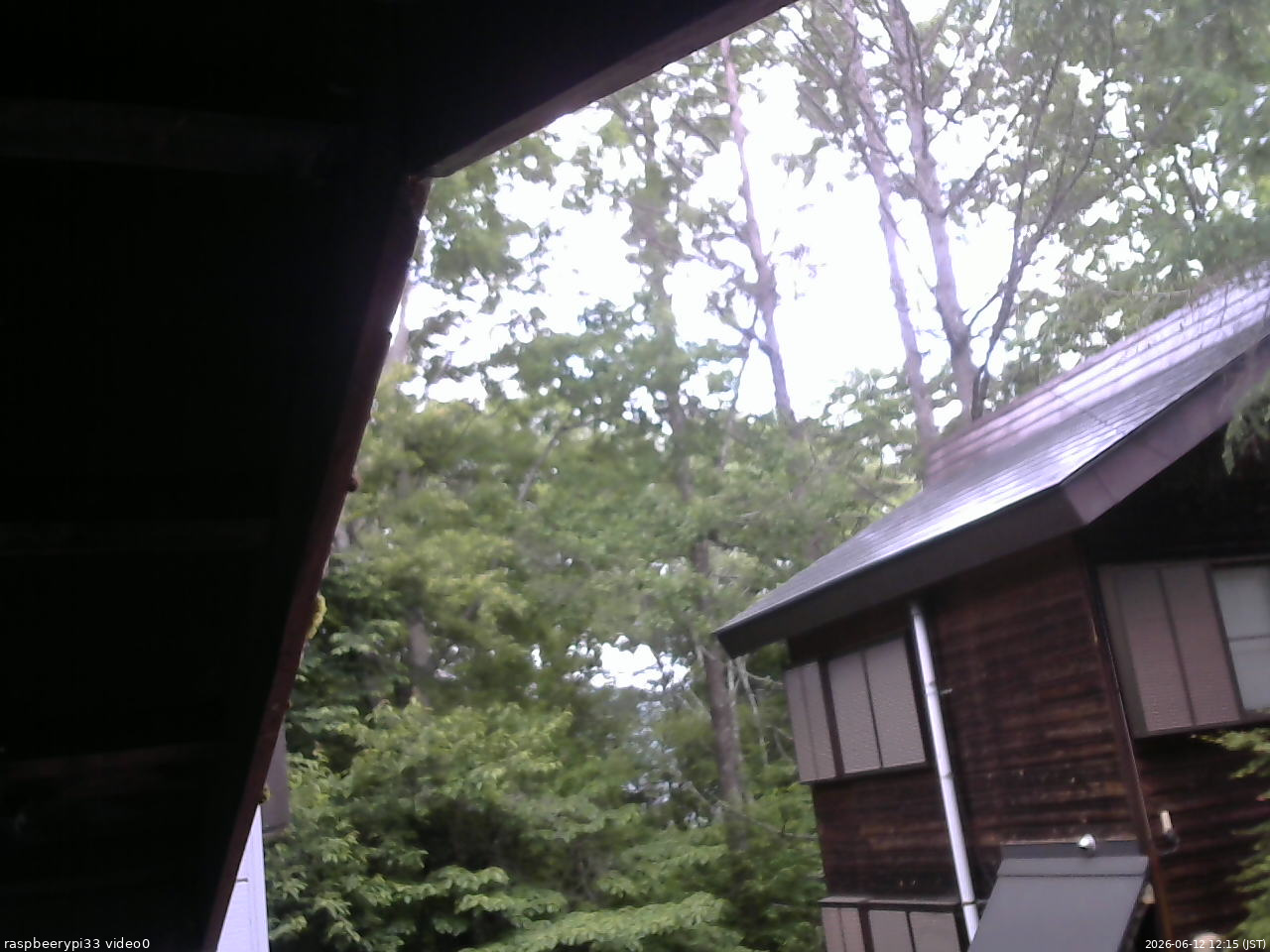 長野県菅平高原 ゆたか山荘 北側 2026/06/12 12:15