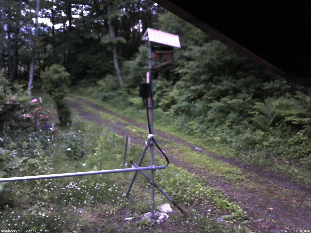 長野県菅平高原 ゆたか山荘 南側 2026/06/12 05:00